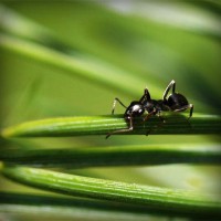 /album/a9%c2%bad-nery/photolia-a05-jpg/