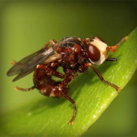 /album/a9%c2%bad-nery/photolia-a06-jpg/