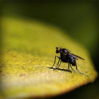 /album/a9%c2%bad-nery/photolia-a07-jpg/